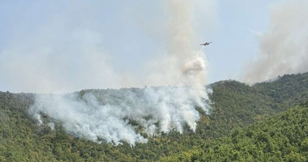 25 пожари во последните 24 часа во Mакедонија: Четири активни, три се под контрола, а 18 се изгаснати